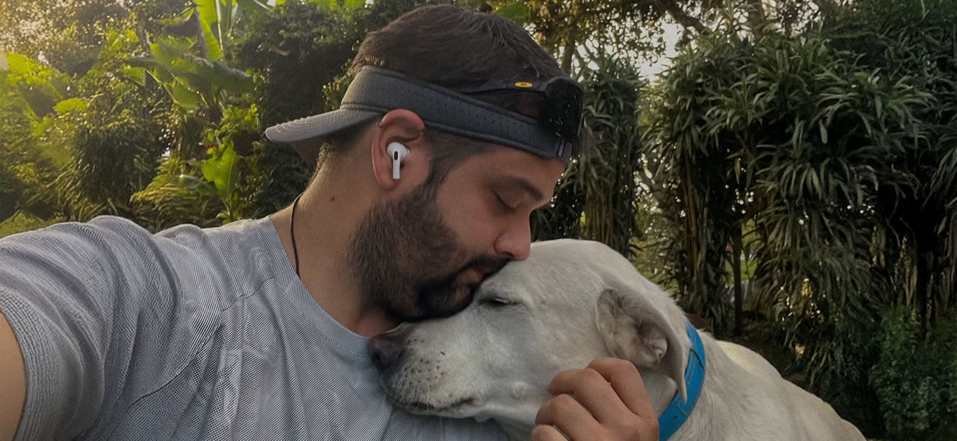 cómo fortalecer el vínculo emocional con mi perro